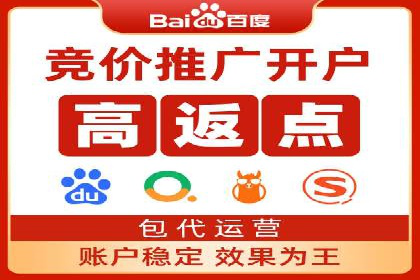 顶级SEM运营公司案例分析